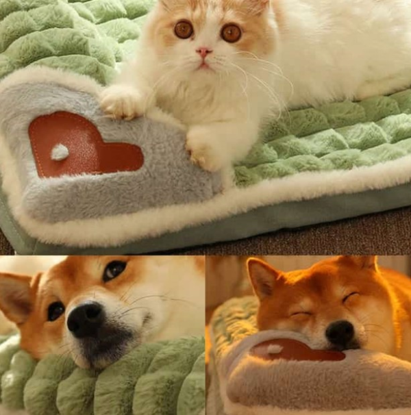 1171848.png Cama Ortopédica para Mascotas