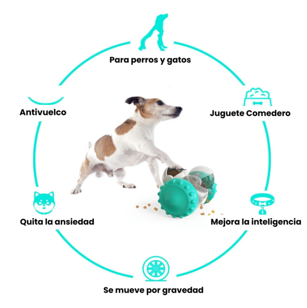 Dispensador De Comida Robot D