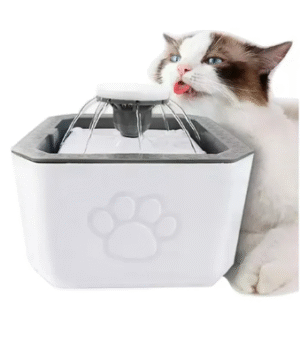 Fuente De Agua Para Gatos