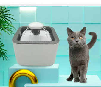 Fuente De Agua Para Gatos