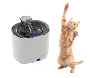 Bebedero Fuente Gatos