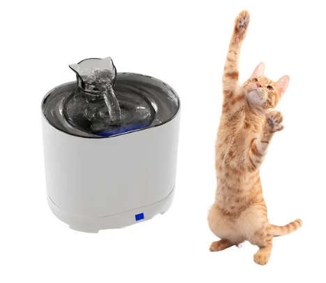 Bebedero Fuente Gatos