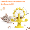 Rueda de Comida Interactiva para Gatos
