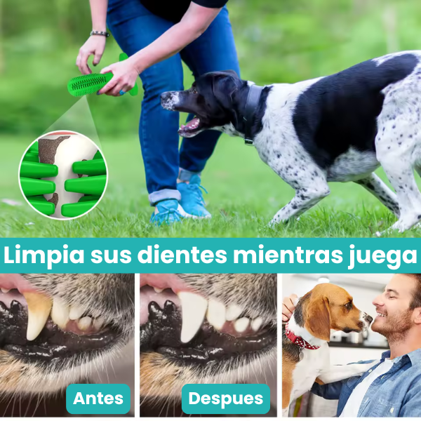 Cepillo De Dientes Para Perros