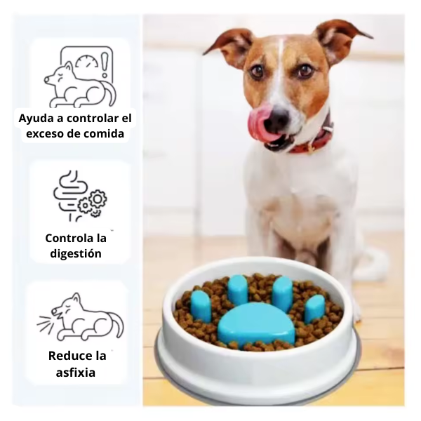 Comedero Para Mascota antiglotón