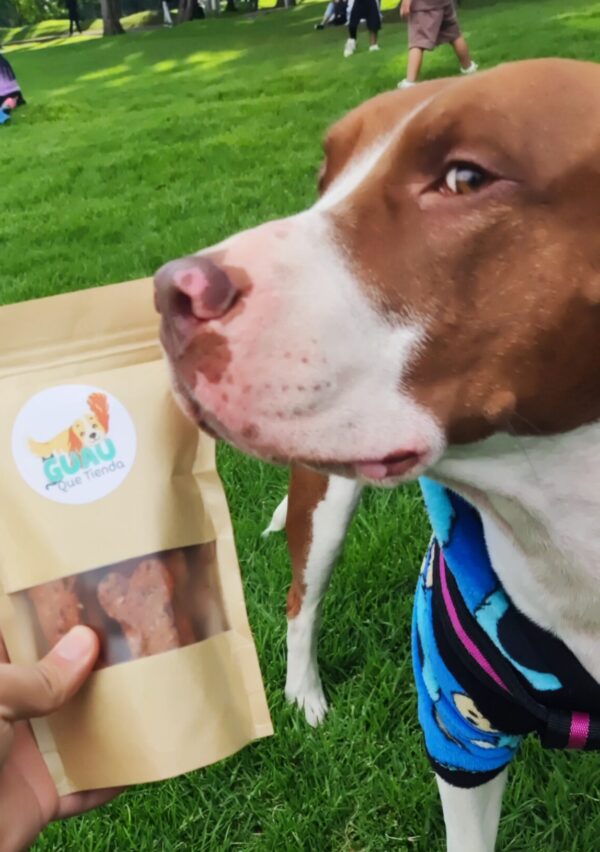 Galletas para perro Guau de proteína Combo x3