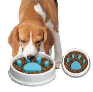 Comedero Para Mascota antiglotón