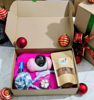 Caja Navideña Premium