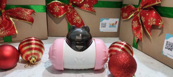 Caja Navideña Premium