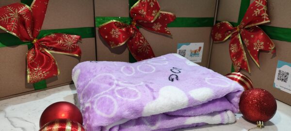 Caja Navideña Premium